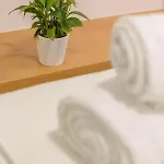 Apartament Terpsis Estate *