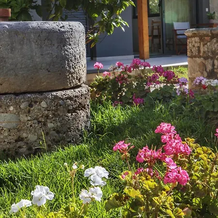 Terpsis Estate Apartment *