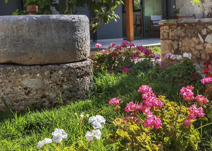 Terpsis Estate Apartment *